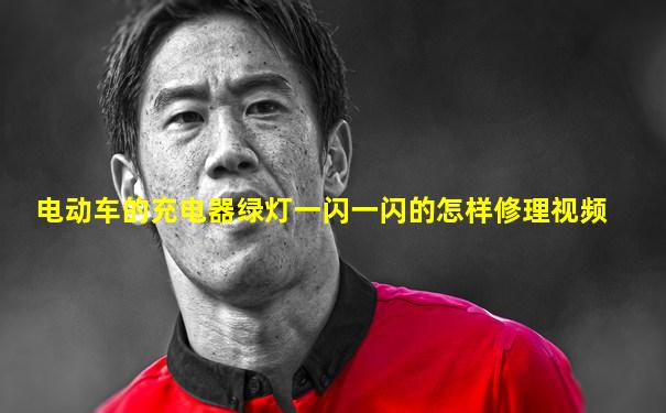 电动车的充电器绿灯一闪一闪的怎样修理视频