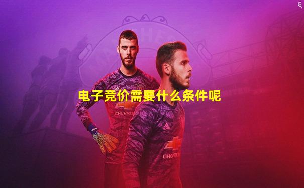 电子竞价需要什么条件呢