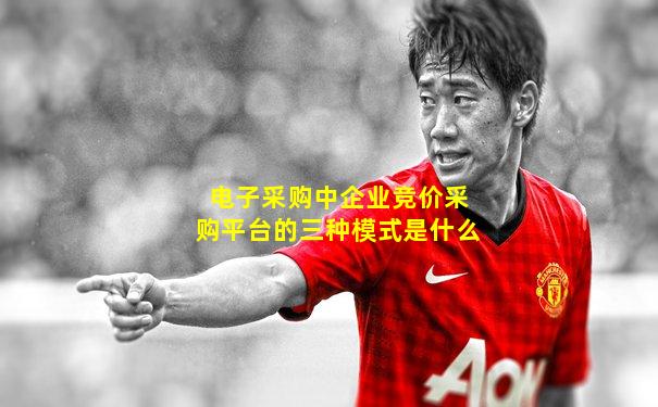 电子采购中企业竞价采购平台的三种模式是什么