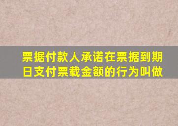 票据付款人承诺在票据到期日支付票载金额的行为叫做