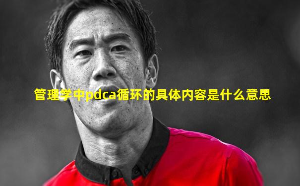 管理学中pdca循环的具体内容是什么意思