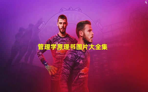 管理学原理书图片大全集