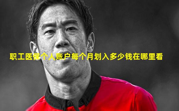 职工医保个人账户每个月划入多少钱在哪里看
