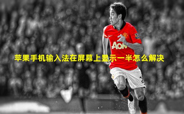 苹果手机输入法在屏幕上显示一半怎么解决