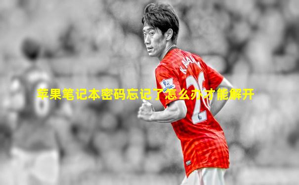 苹果笔记本密码忘记了怎么办才能解开