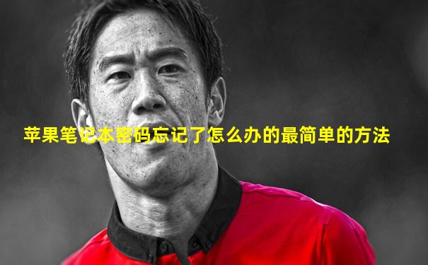 苹果笔记本密码忘记了怎么办的最简单的方法