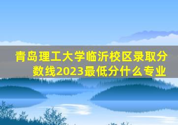 青岛理工大学临沂校区录取分数线2023最低分什么专业