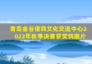 青岛金谷信鸽文化交流中心2022年秋季决赛获奖鸽图片
