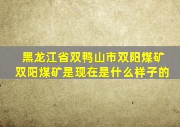 黑龙江省双鸭山市双阳煤矿双阳煤矿是现在是什么样子的